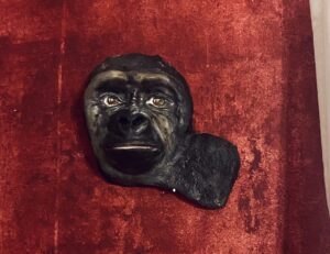 Relieff , Porträt von einem schwarzen Gorilla auf einer roten Wand, aus Ton